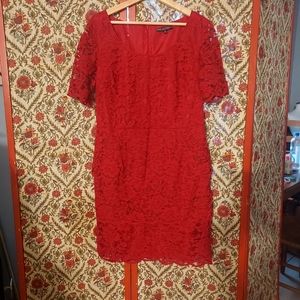 Isabella Demarco lace dress